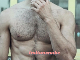 Indiansnake