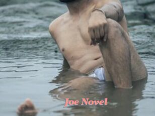 Joe_Novel