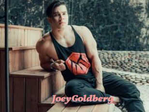 JoeyGoldberg