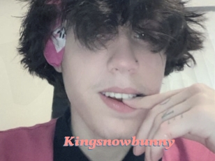 Kingsnowbunny