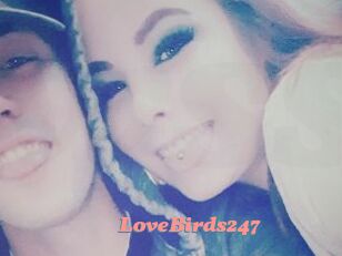 LoveBirds247