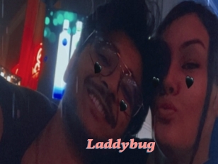 Laddybug