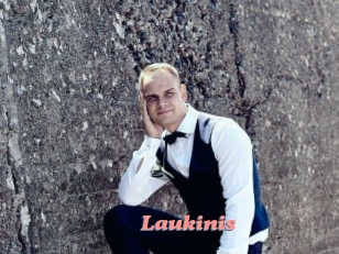 Laukinis