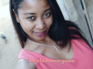 Laylahmorgane