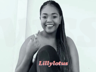 Lillylotus