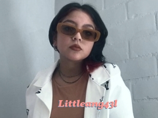 Littleang43l