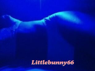 Littlebunny66