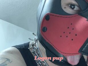 Logan_pup