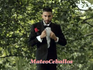 MateoCeballos