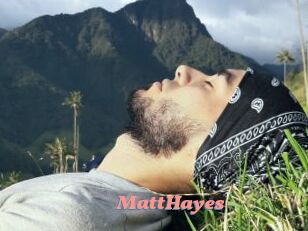 MattHayes