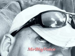 MrBigVoice