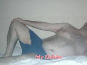 Mr_Hobbs