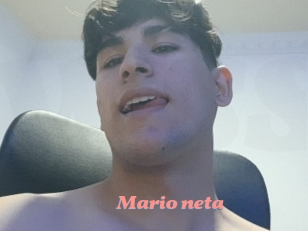 Mario_neta