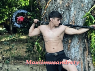 Maxiimusandrety