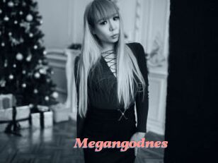 Megangodnes