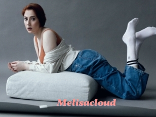 Melisacloud