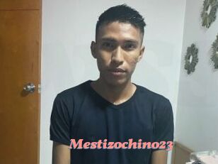 Mestizochino23