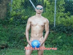 Mitchellburns