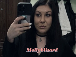 Mollyblizard