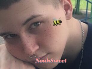 NoahSweet