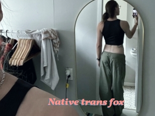 Native_trans_fox