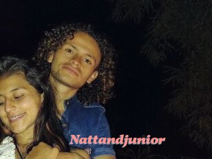 Nattandjunior