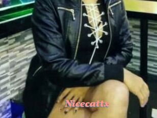 Nicecattx