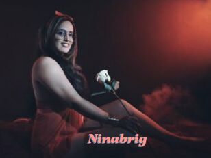 Ninabrig