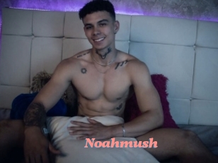 Noahmush