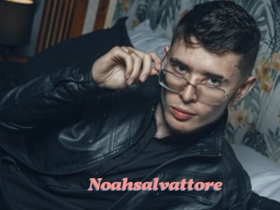 Noahsalvattore