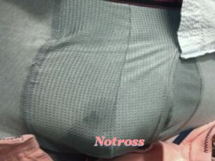 Notross