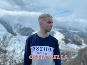 OSTIN_WELLS