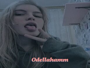 Odellahamm