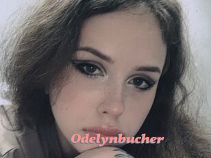 Odelynbucher