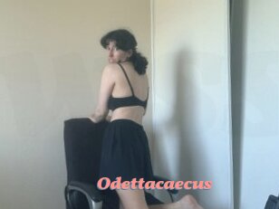 Odettacaecus