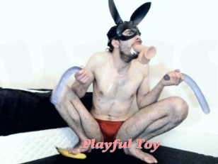 Playful_Toy