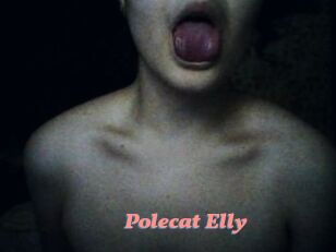 Polecat_Elly