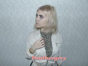 Panthergrey