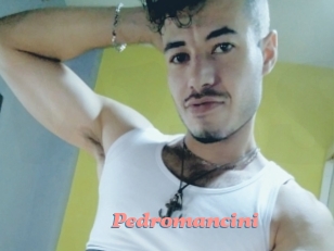 Pedromancini