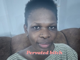 Pervated_bitch