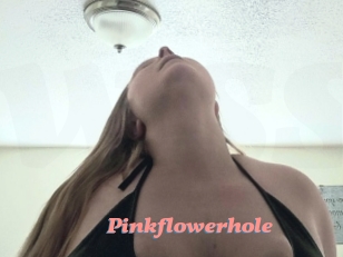 Pinkflowerhole