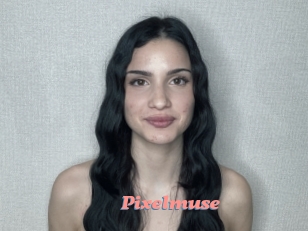 Pixelmuse