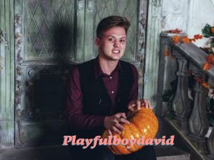Playfulboydavid