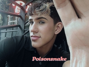 Poisonsnake