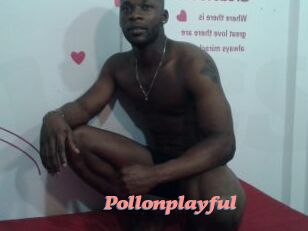 Pollonplayful