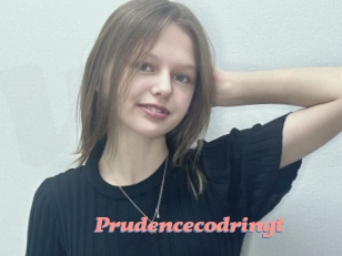 Prudencecodringt