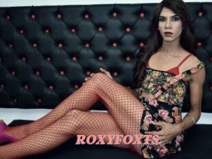 ROXY_FOX_TS