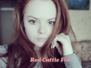 Red_Cuttie_Fox