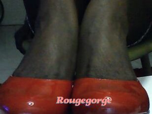 Rougegorge