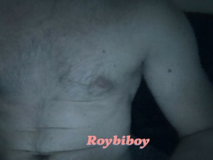 Roybiboy